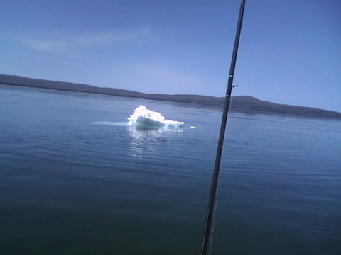 Ice Berg, small